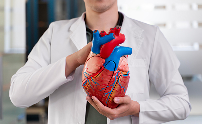 Comprehensive cardiology at Amor